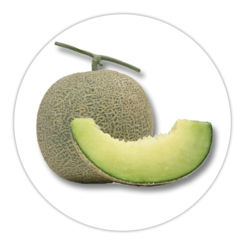 Green Melon Ganicco Farm